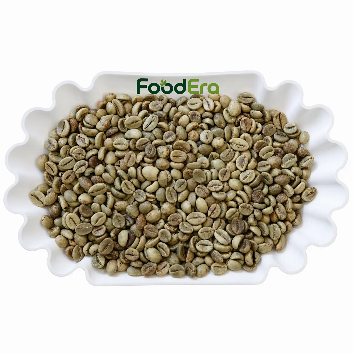 Robusta G1, S18 Wet Polished